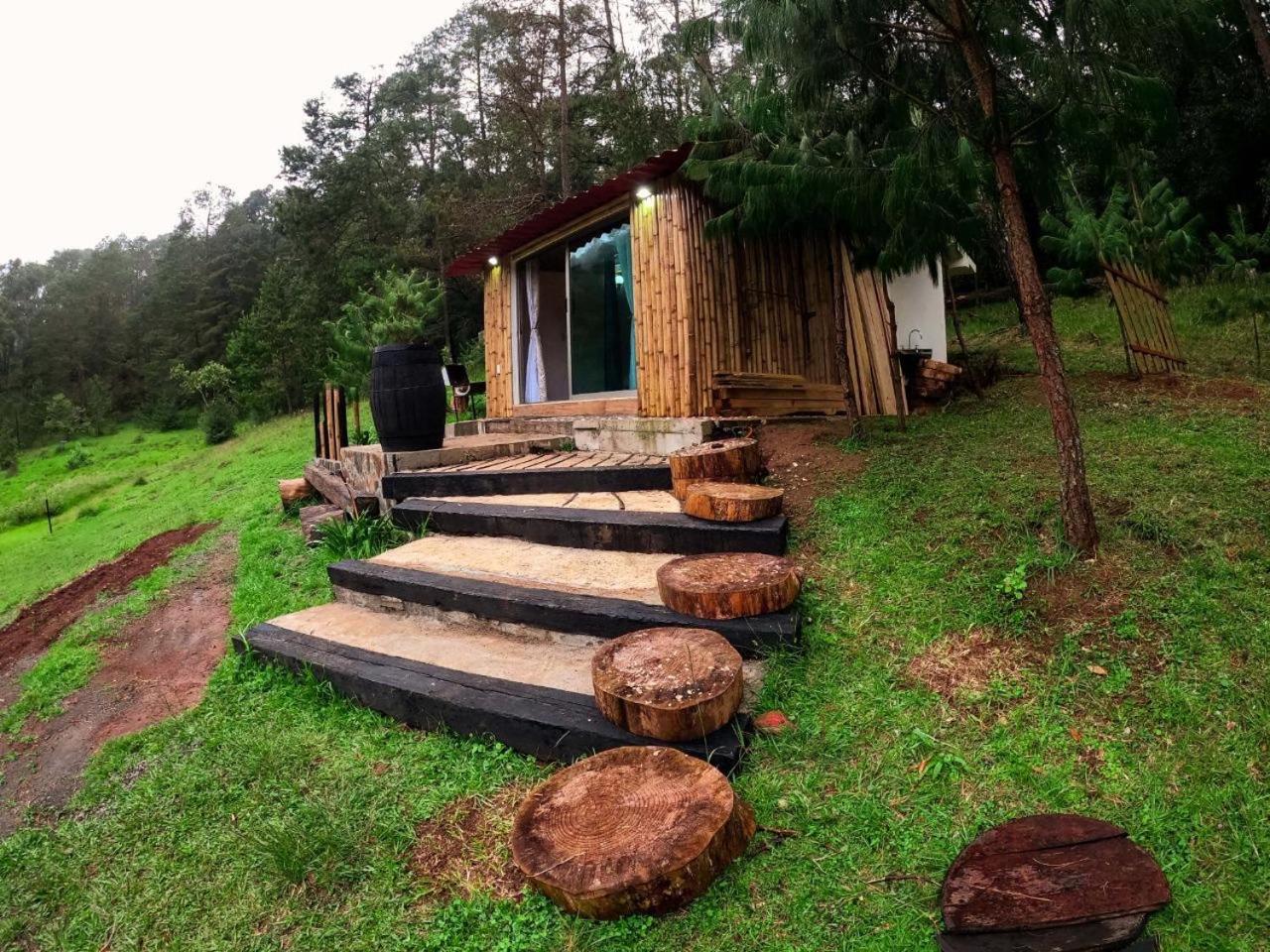 Cabana Romantica En El Bosque! Acaxochitlán Exterior photo